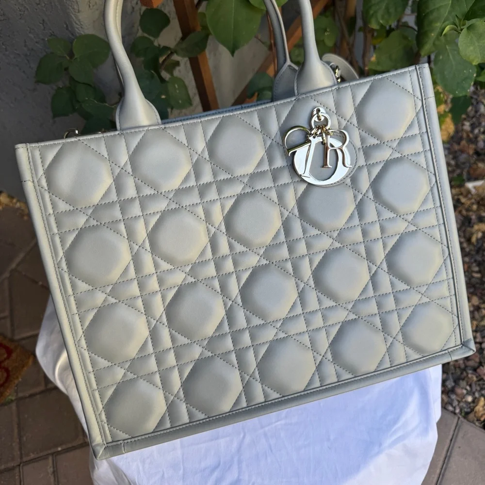 Dior christian calfskin